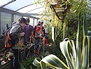Květen 2012 - Projekt EU - exkurze Botanická zahrada Tábor